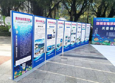 浏阳KT板的种类和知识。